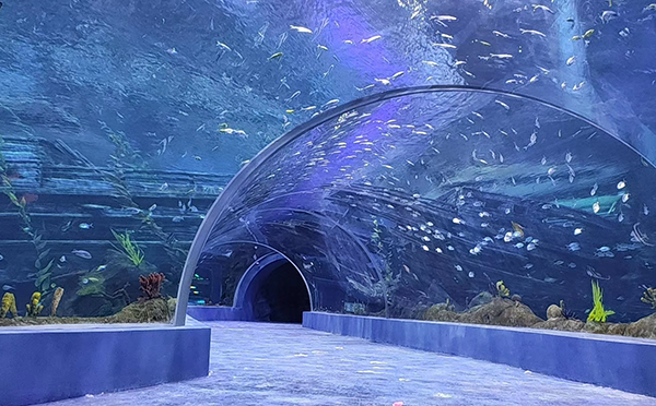 亚克力新材料在水族馆设计中是怎么被使用的