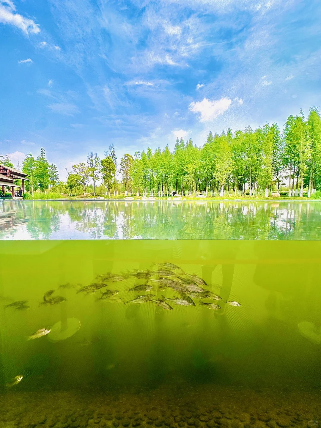 沉水长廊 (8).jpg
