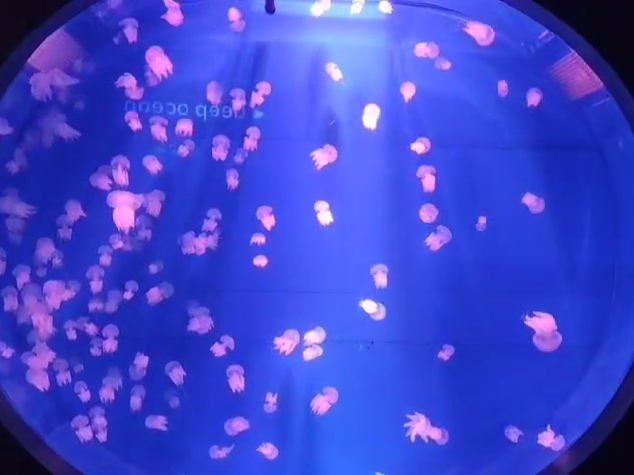 41f255b333ea00b7c428[00_00_08][20250523-151315].png