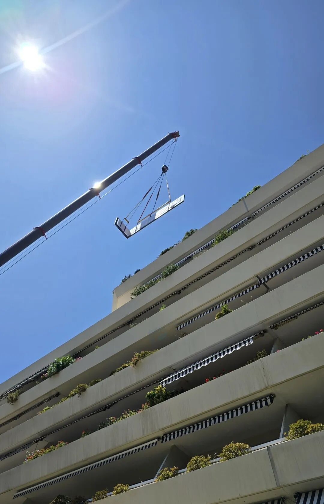 微信图片_2026-01-19_160208_674