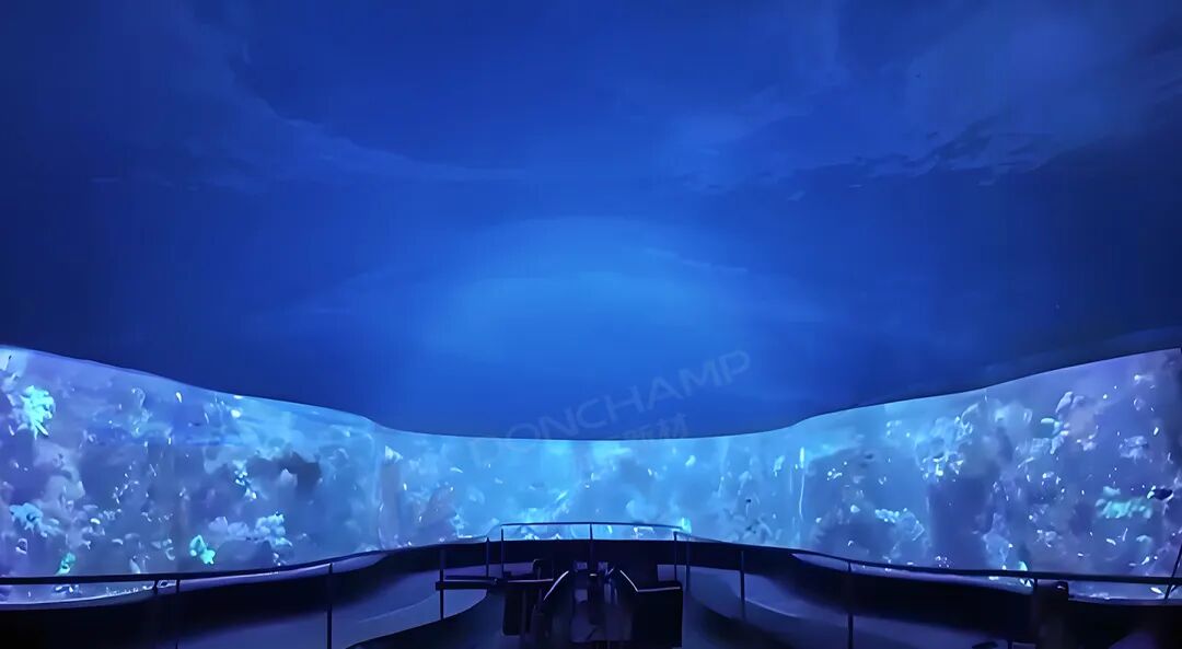 微信图片_2026-01-19_160029_637