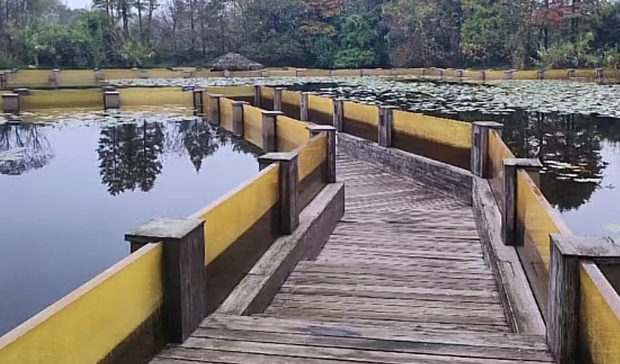 微信图片_2026-02-09_140610_250