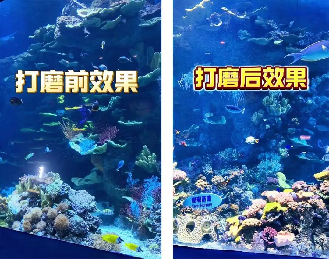 微信图片_2026-04-09_162007_016