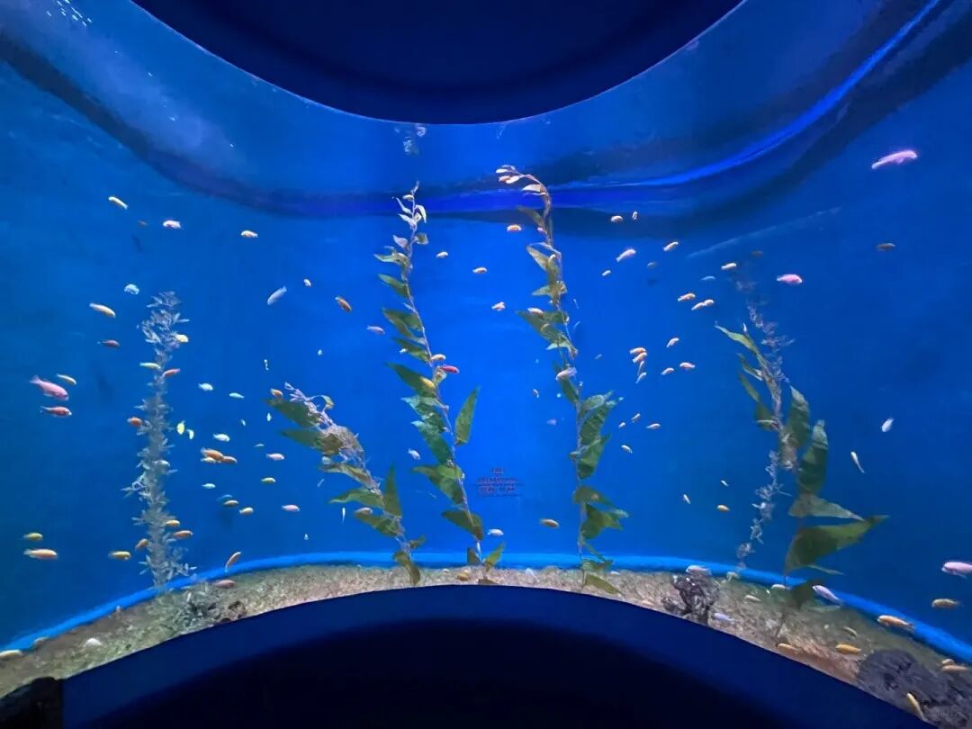 微信图片_2026-04-09_162038_142