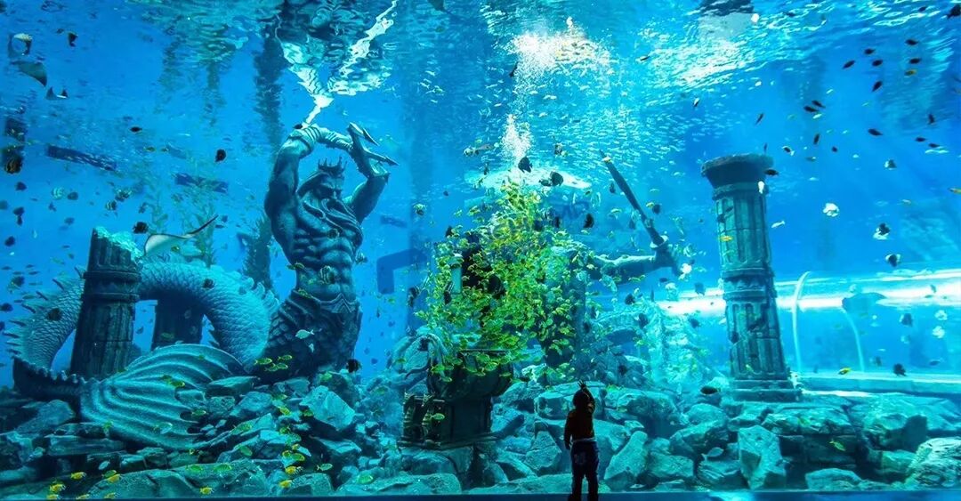 微信图片_2026-04-21_163010_406